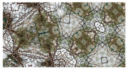 multiple appearances