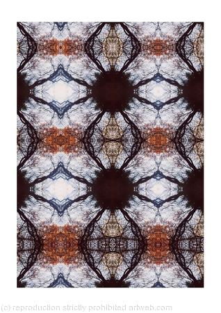 the finite and the infinite