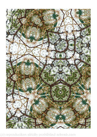 multiple appearances