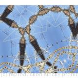 acceptable alternative