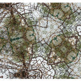 multiple appearances