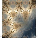 where the wingless fly