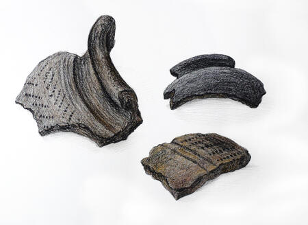 Roman pottery sherds