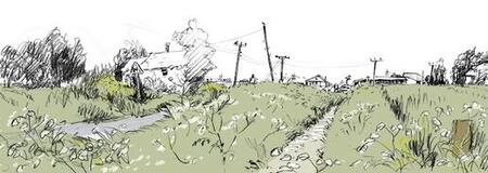 Wonky telegraph poles, Norfolk