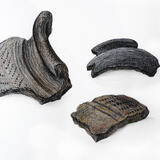 Roman pottery sherds