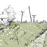 Wonky telegraph poles, Norfolk