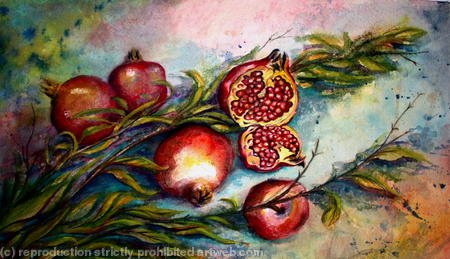 Pomegranates
