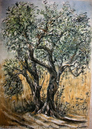 Olive Tree