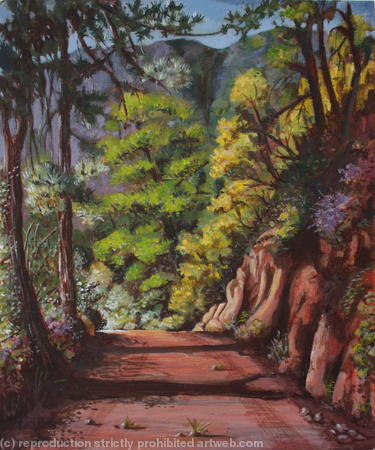 High up in the Hills