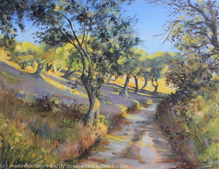 Olive Groves in Autumn