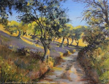 Olive Groves in Autumn Sunlight