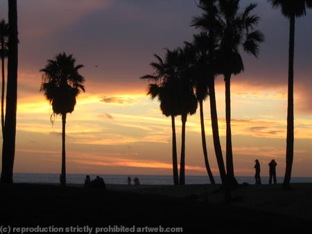 Venice Beach CA USA