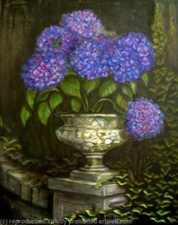 Hydrangeas