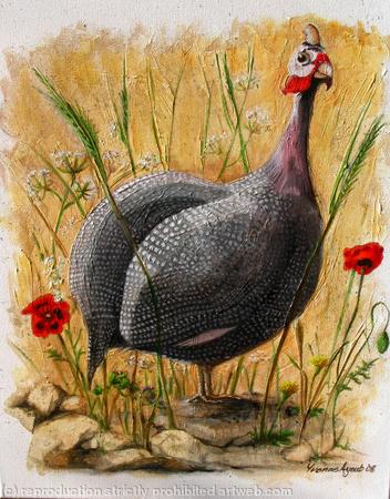 Guinea Fowl