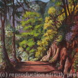 High up in the Hills