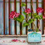 Feta tin with Geraniums