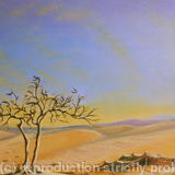 Saudi Desert Bedouin Tent