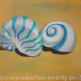 Rodios Shells