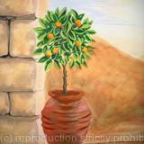 Orange Tree - finishing touches