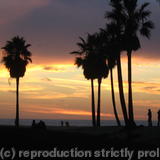 Venice Beach CA USA