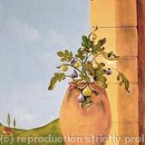 Fig Jar - finishing touches