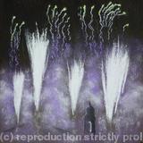 Fireworks 2