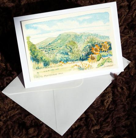 Pontesford Hill for Helen