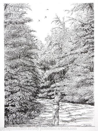 A woodland drive, pack of 6 greeting cards