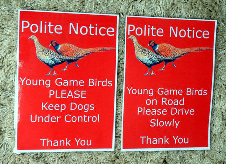 Posters using artwork, laminated, for shoots your information