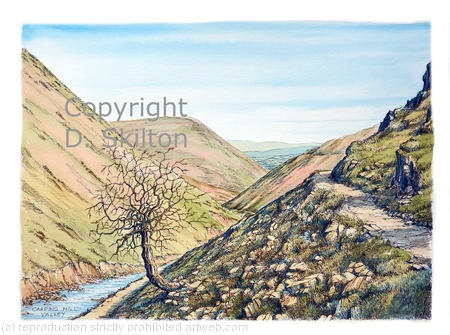 Carding Mill Valley (2) as a greeting card or bespoke notelet. Prints and postcards available.