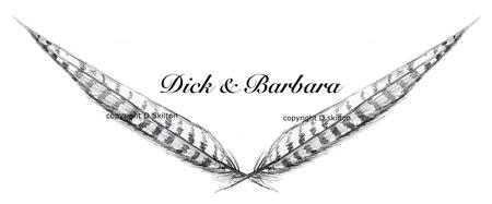 Feathers crossed black and white with ( any names) image for wedding stationery.