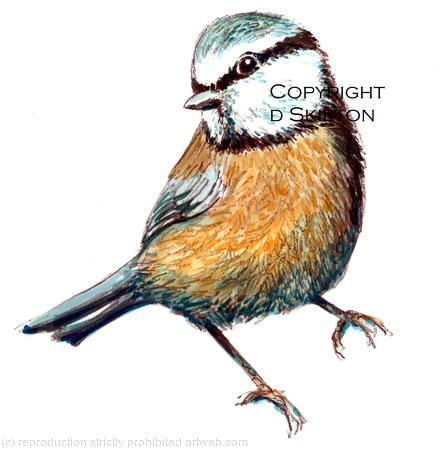 BLUE TIT image on a greeting card with any wording of your choice below image