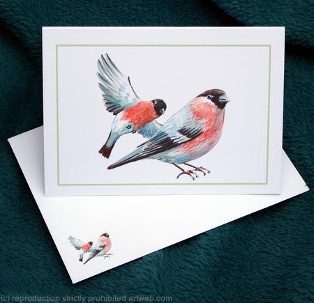 Bullfinches, one standing one flying as a notelet with matching image on the envelope. Sold as a single plain inside,card and envelope but we can print names and address for you on the back.