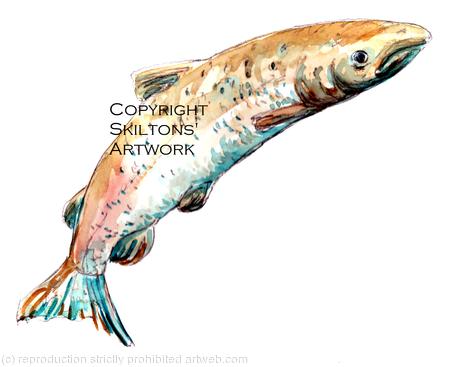Salmon leaping watercolour 2 as a greeting card or fishing invitation perhaps. prints and postcards available.