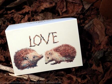  1 two hedgehogs with LOVE as a card blank inside. First in the Skillipigs collection of collectible cards.