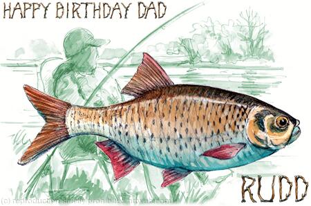 Rudd HAPPY BIRTHDAY DAD 6 by 4 inch greeting card with envelope