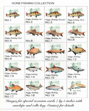 catalogue of fishing images and messages for 7 by 5 inch special occasion cards. Any massage available for any of these fish images. Please ask.