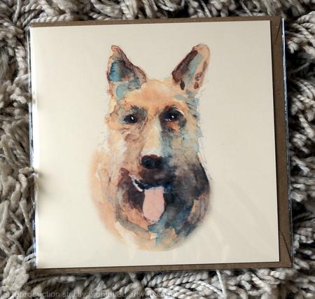 German shepherd card portrait or Pawtrait collection, 6 by 6 inches with brown recycled envelope. Signed prints available mounted in a 7 by 9 inch mount.