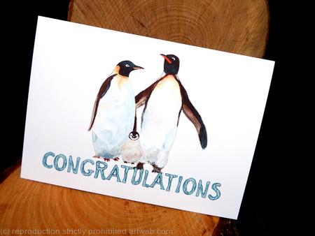 Penguin card 3 Congratulations. penguin design cards 5 by 7 inches.