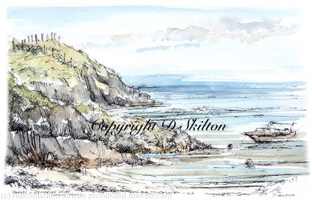Parrog, The coastal path. Newport Pembrokeshire. Laser print, mounted and signed in a 7 by 9 inch mount to fit a standard frame. cards available.