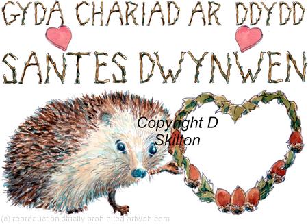 362 GYDA CHARIAD AR DDYDD SANTES DWYNWEN skillipigs card with heart. Greeting card with brown recycled envelope.