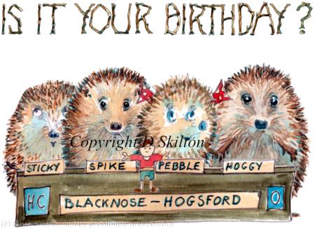 372 Hogisiversity Challenge, IS IT YOUR BIRTHDAY ?  One of our Skillipigs Cards.      6 by 4 inch ivory card with brown recycled envelope.