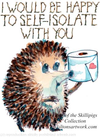 Self isolation with toilet roll card. I WOULD BE HAPPY TO SELF ISOLATE WITH YOU.  6 by 4 inch ivory card with envelope