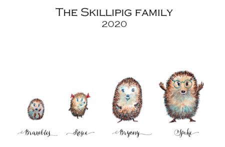 The skillipig Family, we can put your family name and names on and a different selection and number of Skillipigs etc. contact for details.