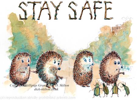 637 STAY SAFE Abbey road image. Skillipigs greeting card 6 by 4 inches with brown recycled envelope.