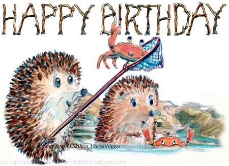 624 HAPPY BIRTHDAY rock pools. Skillipigs greeting card 6 by 4 inches with brown recycled envelope.