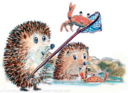 623 rock pools ( no greeting) Skillipigs greeting card 6 by 4 inches with brown recycled envelope.