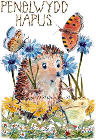 1065 SP Skillipig card PENBLWYDD HAPUS. 6 by 4 inch card with envelope. 