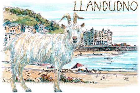 LLandudno goat and pier. 6 by 4 inch greeting card. Any greeting available.