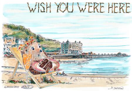 LLandudno deck chair in a  hedgehog  and pier. 6 by 4 inch greeting card. Any greeting available.
